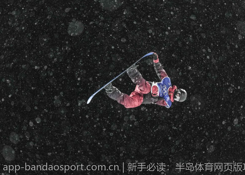 新手必读：半岛体育网页版攻略