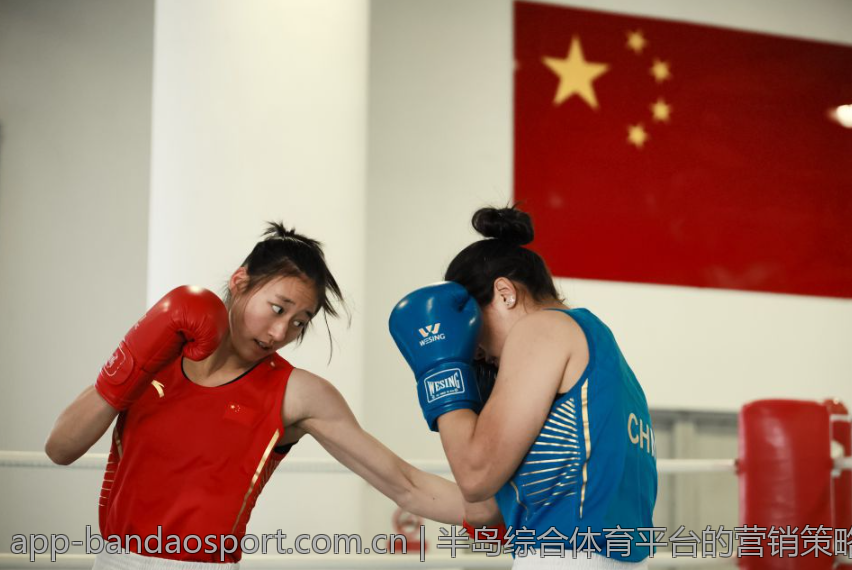 半岛综合体育平台的营销策略探讨